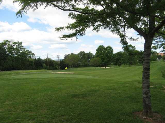 A view of a green from The Greens at Hamilton Run.