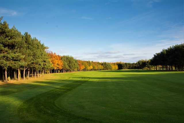 View of the 5th fairway and green at Newton Green Golf Club