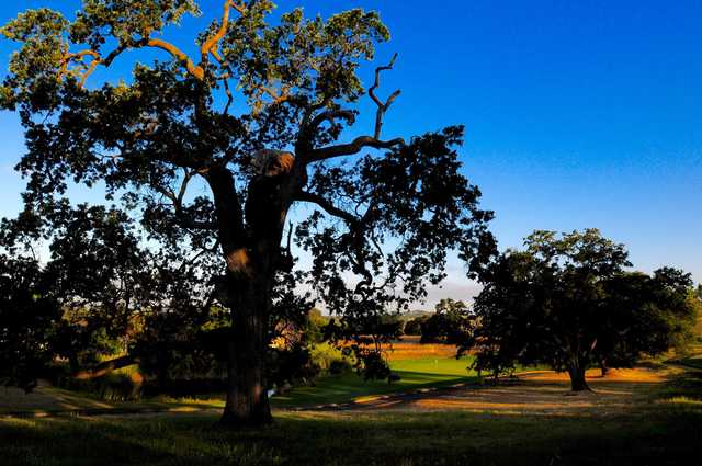 A view of a hidden hole at Empire Ranch Golf Club.