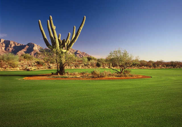A sunny day view from Golf Club at Vistoso.