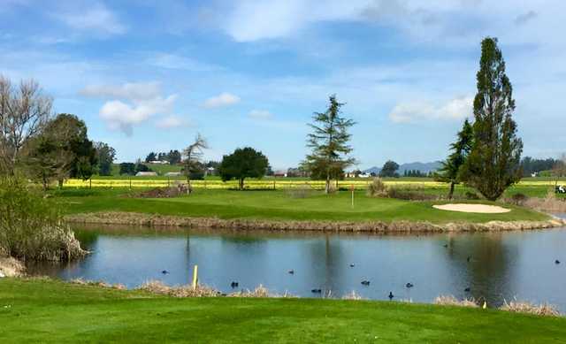 A view of hole #15 at Rooster Run Golf Club.