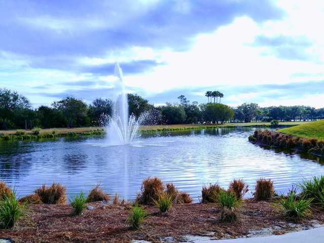 A view from Heron Creek Golf and Country Club.