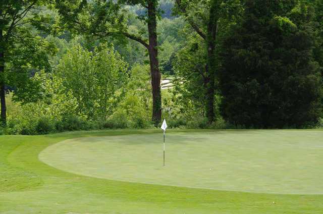 A sunny day view of a green at Brasstown Valley Resort.