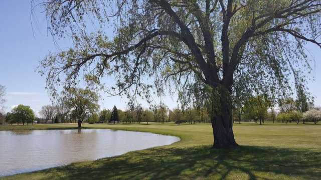 A sunny day view from Saginaw Valley Golf Course.