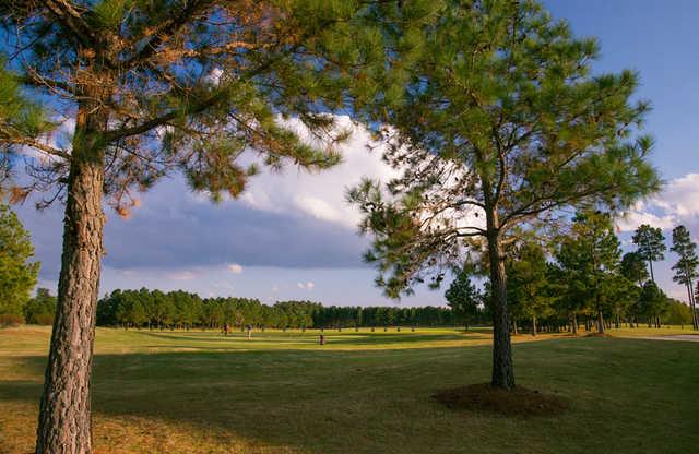 Taberna Country Club Tee Times - New Bern NC