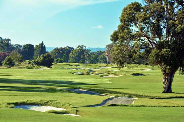 View of the 6th greens from the South Course at Corica Park