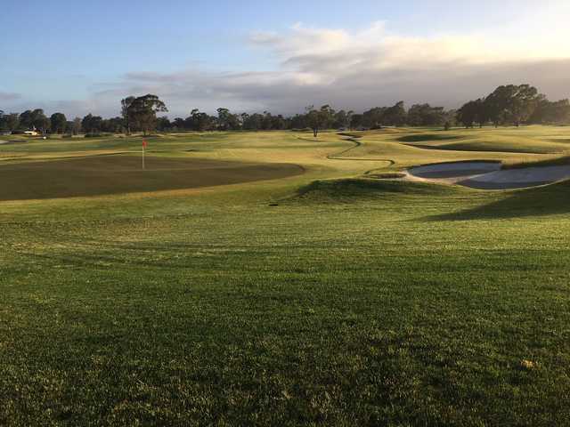 View of a green from South Course at Corica Park