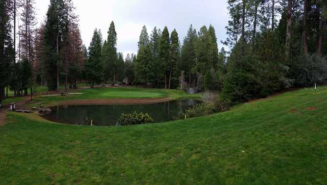 View of the 9th hole from Forest Meadows Golf Course