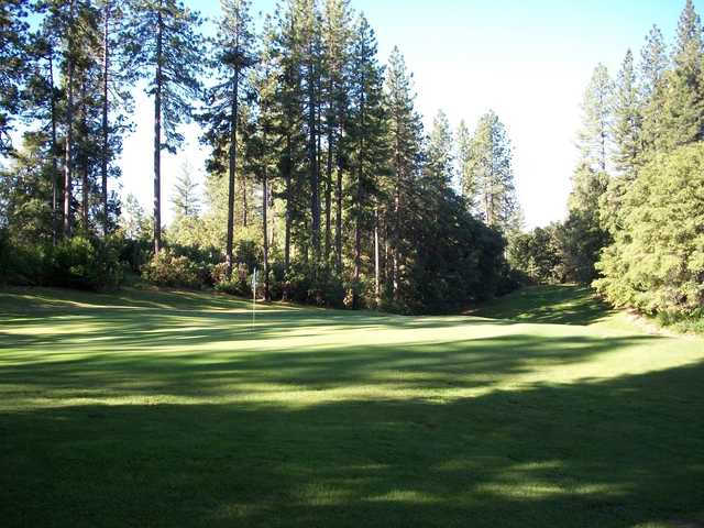 A sunny day view of a hole at Forest Meadows Golf Course.