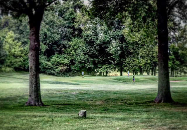 A view of a hole at Quail Creek Golf Course.