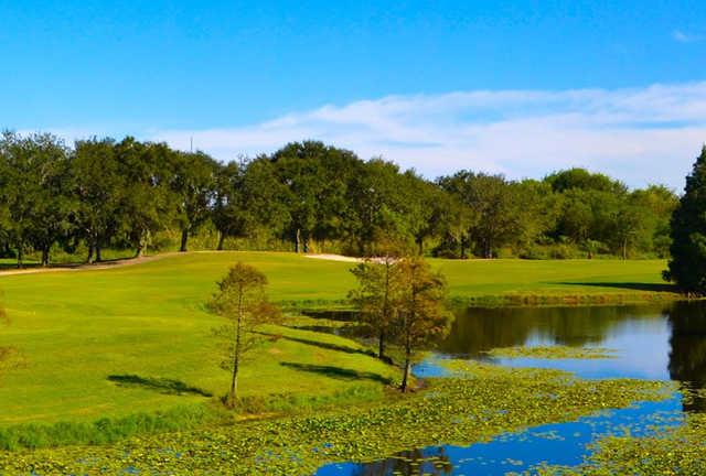 Mangrove Bay Golf Course Reviews Course Info TeeOff Mangrove Bay Golf Course Reviews Course Info TeeOff