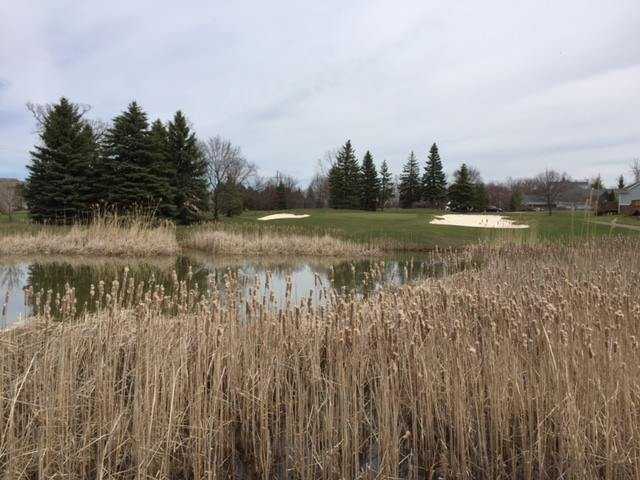 A view of the 9th hole at Maples Golf Club.