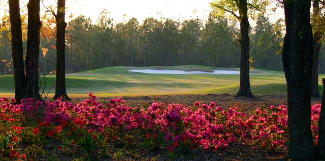 A sunny day view from Eagle Landing Golf Club.