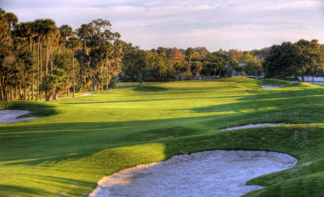 A view of the 14th hole at Palm Harbor Golf Club.