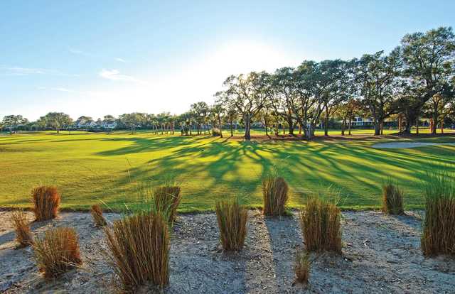 A morning day view of a tee at Seabrook Island Resort.
