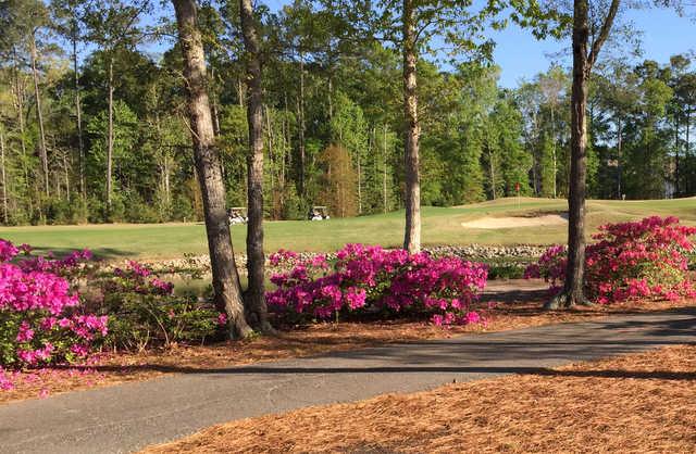 A sunny day view of a green at River Oaks Golf Club.