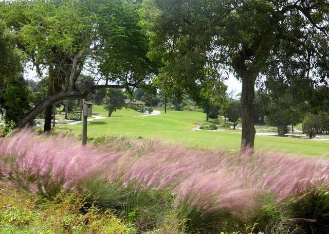 A view of a fairway at West Palm Beach Golf Course.