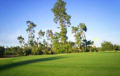 A view of green from Marion Oaks Country Club