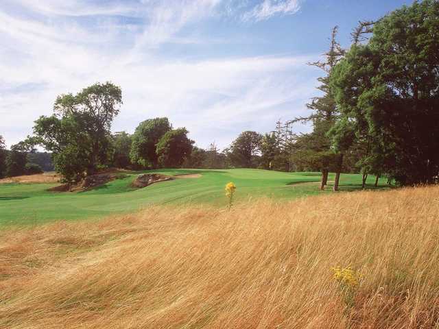 A view of a green from The Montgomerie Course at Carton House Golf Club.
