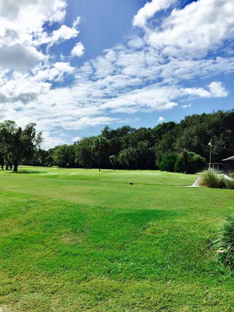 A view from Zephyrhills City Golf Course