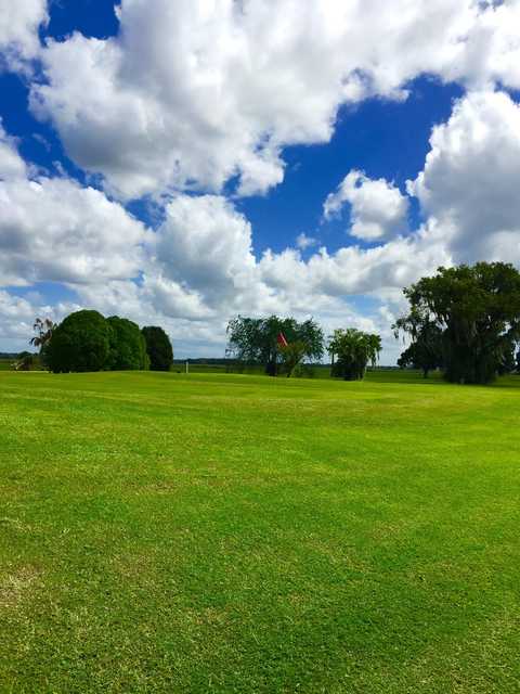 View of a green at Zephyrhills City Golf Course