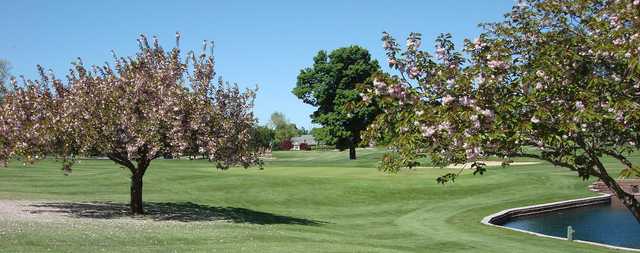 A view from Fairview Golf Course