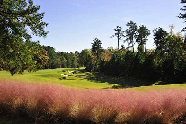 A view of a fairway at UNC Finley Golf Course.