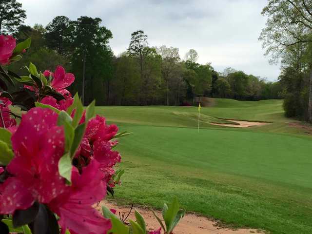 A view of a green at Dancing Rabbit Golf Club.