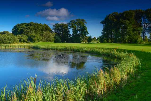 Approach to the 8th hole at Galgorm Castle Golf Club