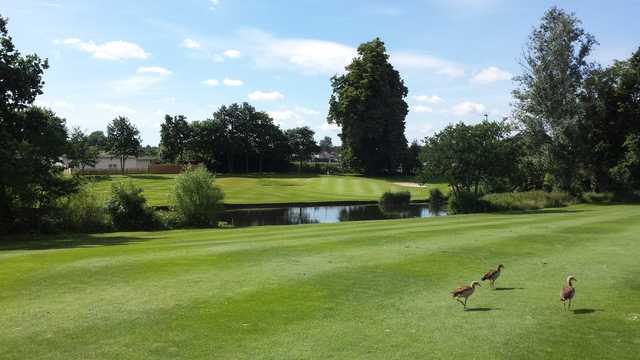 A view of a hole at Sidcup Golf Club.