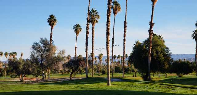 A view from Mesquite Golf & Country Club