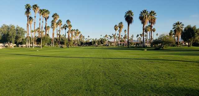 View from a fairway at Mesquite Golf & Country Club