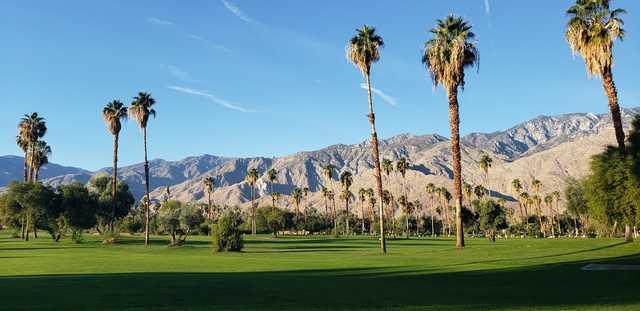 View from a fairway at Mesquite Golf & Country Club