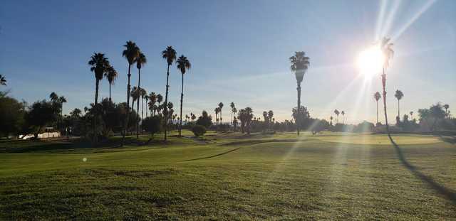 View of a green at Mesquite Golf & Country Club