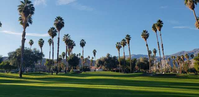 View from a fairway at Mesquite Golf & Country Club
