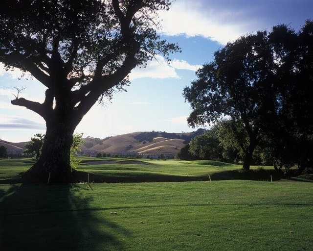 A view of the 10th green at Paradise Valley Golf Course.