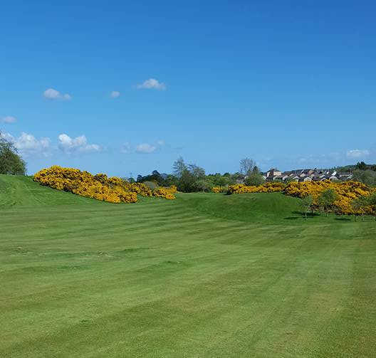 A view from Auchterderran Golf Club