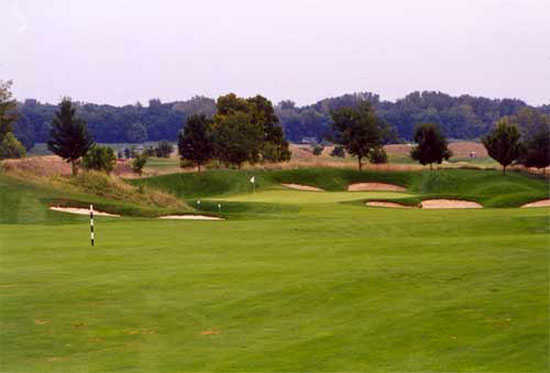 A view of green #14 surrounded by bunkers at Cooks Creek Golf Club