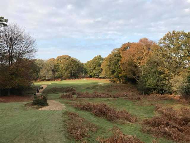 View of the 12th hole from the Forest Course at Bramshaw Golf Club