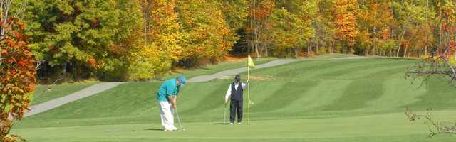 A view of a hole at Indian Springs Metropark Golf Course.