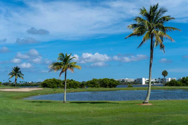 A view from Lake Worth Beach GC