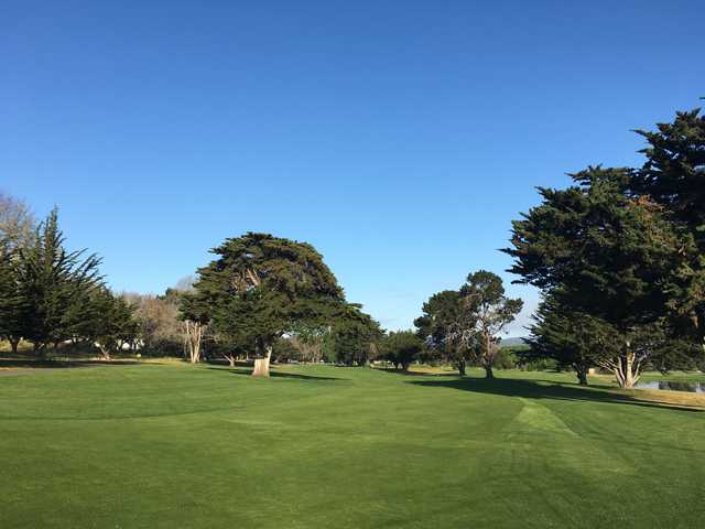 A view from a fairway at Monterey Pines Golf Club.