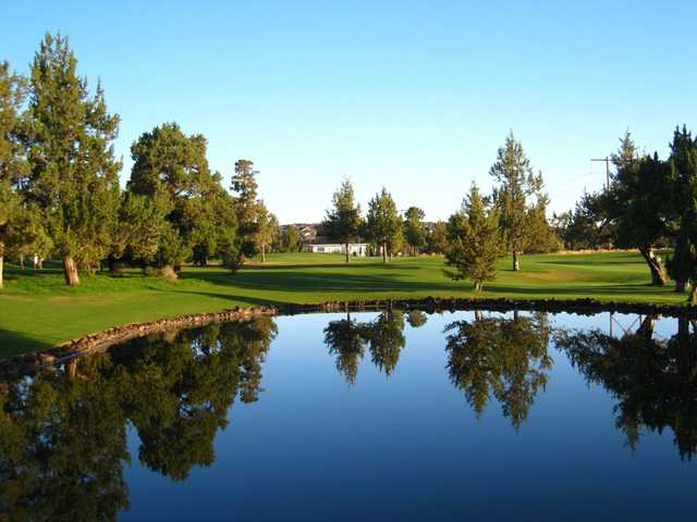 A sunny day view from the Greens at Redmond.