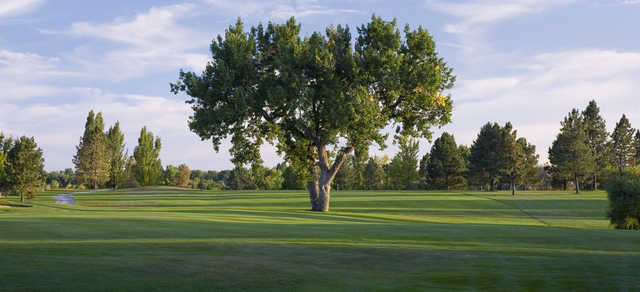 A view from Greg Mastriona Golf Courses at Hyland Hills.