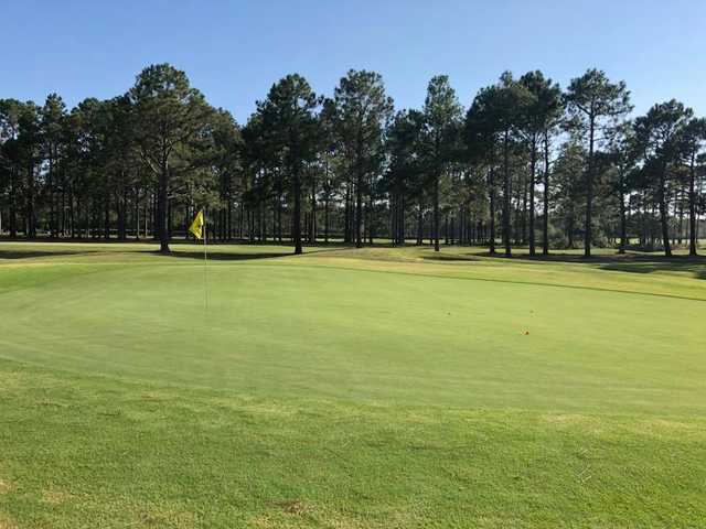 View of a green at Sandpiper Bay Golf & Country Club