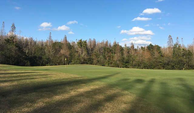 View of a green at Heritage Isles Golf and Country Club