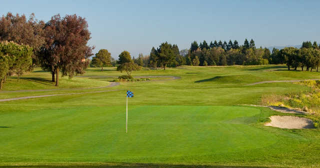 A sunny day view of a green from Shoreline Golf Links at Mountain View.
