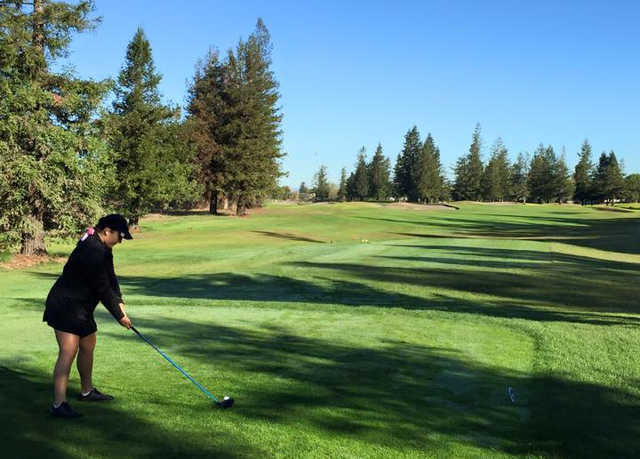 A view from a tee at Foxtail Golf Club.