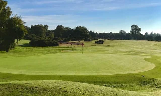 View of a green from the Red Course at Frilford Heath Golf Club