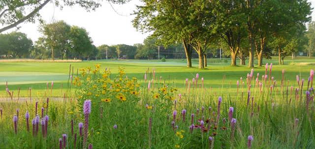 A view of a hole at Coyote Run Golf Course.